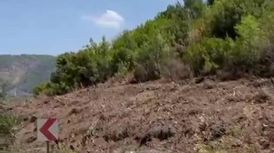 Marmaris Orman İşletme Müdürlüğü yangın önleme çalışmalarına ağırlık verdi