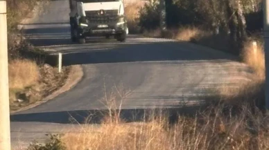 Tekören yolunda uzayan ağaç dalları sürücülere zorluk yaşatıyor