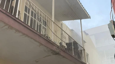 Antalya’daki yangında itfaiye ekipleri muhabbet kuşunu kurtardı