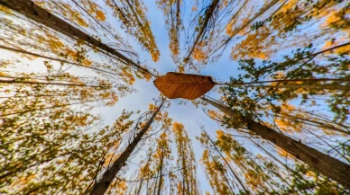 Erzincan’ın Munzur Dağları sonbahar renkleriyle büyülüyor