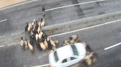 Bitlis'in Tatvan ilçesinde trafik kazaları Kent Güvenlik Yönetim Sistemi kameralarına yansıdı