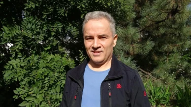 Başıboş köpekler yaban hayatı ve trafik güvenliğini tehdit ediyor