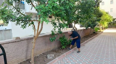 Adana’da Kadir Acarlar çalınan telefonunu Bul uygulamasıyla tespit etti