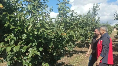 Çanakkale’de dolu yağışı sonrası tarım alanlarında hasar tespiti başladı