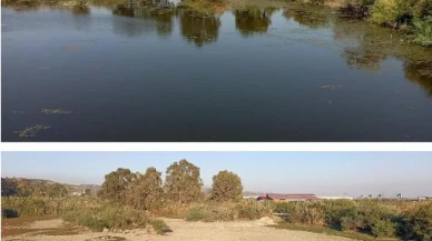 Aydın’ın Söke ilçesinde sulak alanlara moloz tehdidi