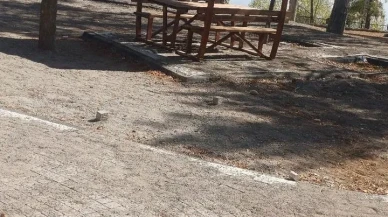 Kayseri Büyükşehir Belediyesi Sarımsaklı Barajı Mesire Alanı'nı yeniliyor