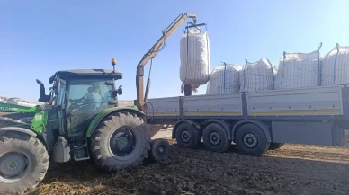 Patnos'ta patates hasadı başladı çiftçiler verimden memnun