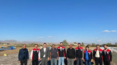 Çayırlı’da çerezlik ayçiçeği hasadı başladı, Kaymakam Battal destekledi