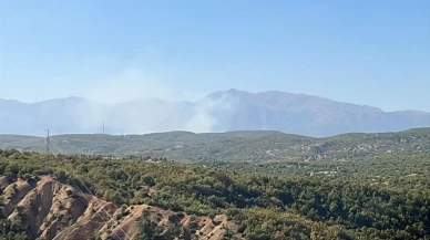 Bingöl’ün Genç ilçesinde çıkan orman yangını kontrol altına alındı