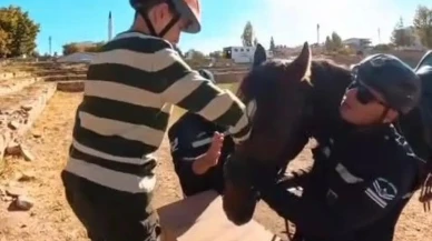 Van İl Jandarma Komutanlığı hayvanlar gününde çocuklarla etkinlik düzenledi