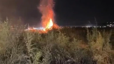 Batman’da Diktepe köyünde çıkan anız yangını itfaiye kontrol altına aldı