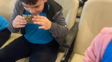 Muğla'da ilkokul öğrencilerine zeytinyağı eğitimi veriliyor