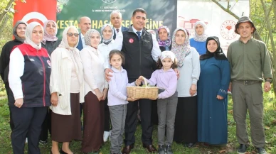 Düzce’de kestane üretimi coğrafi işaretle ivme kazandı