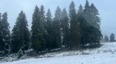 Bolu'nun yüksek kesimlerinde kar yağışı etkili oluyor