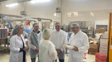 TKDK Bursa İlka Şekerleme tesislerinde kestane şekeri üretimini inceledi