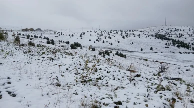 Posof'ta etkili kar yağışı ilçeyi beyaza bürüdü