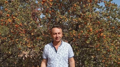 Malatya’da Akçadağ ilçesinde alıç hasadı devam ediyor