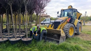 Van Büyükşehir Belediyesi yeşillendirme çalışmalarıyla şehre estetik kazandırıyor