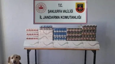 Şanlıurfa’da kaçakçılık operasyonunda binlerce ürün ele geçirildi