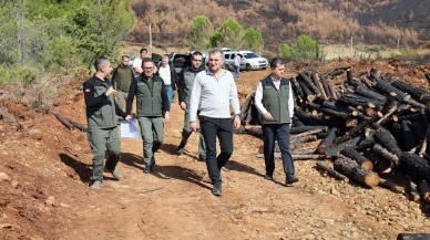 Köyceğiz'de yanan sahalar fidan dikimi için hazırlanıyor