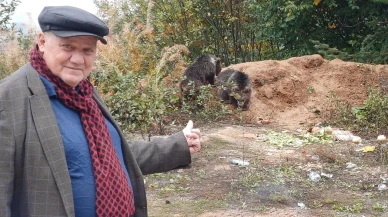 Kastamonu küre'de yavru ayılar halkın ilgi odağı haline geldi