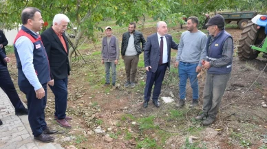 Denizli'de sezonun ilk ceviz hasadı Vali Coşkun'un katılımıyla Tavas'ta başladı