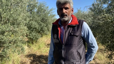 Alaşehir'de yağmur çiftçilerin yüzünü güldürdü