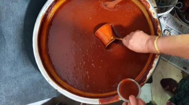 Erzincan'da vatandaşlar doğadan topladıkları kuşburnuları marmelata dönüştürüyor