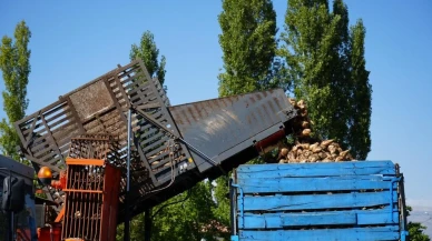 Erzincan'da şeker pancarı hasadı başladı çiftçiler fiyatlardan memnun değil
