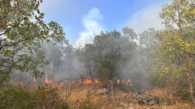 Diyarbakır’ın Dicle ilçesinde çıkan yangın helikopterle söndürüldü