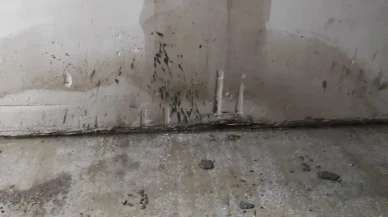 Elazığ'da site yönetimi aidat artışına sakinler isyan etti