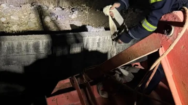 Siirt'te kanala düşen inek itfaiye ekipleri tarafından kurtarıldı