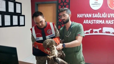 Siirt İl Jandarma Komutanlığı HAYDİ timi doğal yaşamı korumak için çalışıyor