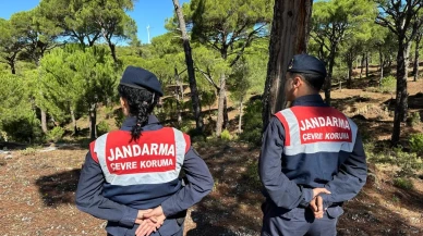 Jandarma Aydın’da Sultan Çiğdemi için saha kontrolleri yaptı