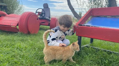 TvHB Genel Başkanı Ali Eroğlu hayvanlara yapılan zararı kınadı