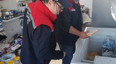 Aydın'ın Koçarlı ilçesinde toplu tüketim yerleri gıda denetimine tabi tutuldu