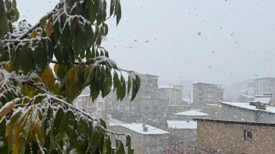 Hakkari'de mevsimin ilk karı cadde ve sokakları beyaza bürüdü