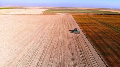 Konya Ovası'nda yağışlar yetersiz kalınca çiftçiler gelecek sezon için endişeli