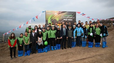 Kocaeli'nin Karamürsel ilçesinde yanan ormanlık alana 3 bin fidan dikildi