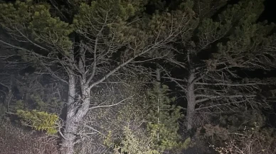 Bolu'nun Mudurnu ilçesinde ormanlık alanda çıkan yangın köylüler ve ekipler tarafından söndürüldü