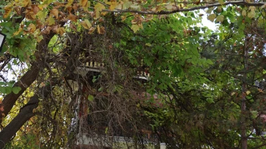 Kırşehir'de Ahi Evran Külliyesi sonbahar renkleriyle büyüleyici bir görsel şölen sunuyor