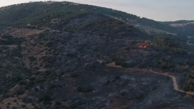 Aydın'ın Bozdoğan ilçesinde çıkan yangın büyük ölçüde kontrol altına alındı