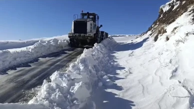 Muş'ta kar nedeniyle kapanan 31 yerleşim yerinin yolu yeniden ulaşıma açıldı