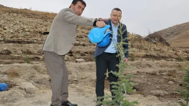 Kayseri'nin Bünyan ilçesinde milli ağaçlandırma gününde fidanlar toprakla buluştu