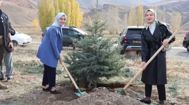 Tercan’da 11 Kasım Milli Ağaçlandırma Günü için fidan dikim etkinliği düzenlendi