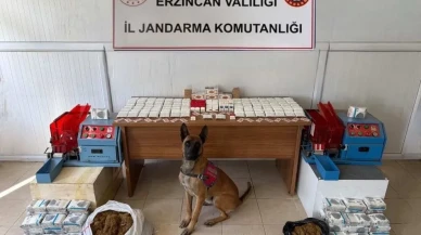 Erzincan'da jandarma kasım ayında 124 olayın yüzde 93'ünü aydınlattı