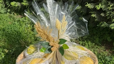 papa 14. Leo’ya Bursa’dan coğrafi işaretli ürünler ve minyatür hediye edildi