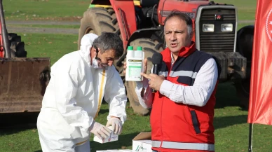 Terme'de kahverengi kokarca ile mücadele için 850 hane, 23 kamu alanı ve 623