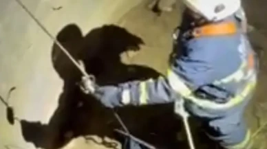 Batman'da su kuyusuna düşen çakal itfaiye ekipleri tarafından kurtarıldı