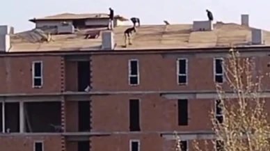 Karabük'te inşaat çatısında güvenlik önlemi olmadan çalışan işçi kameraya yansıdı